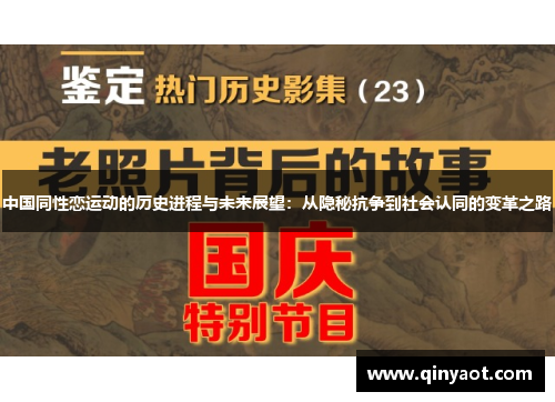 中国同性恋运动的历史进程与未来展望：从隐秘抗争到社会认同的变革之路