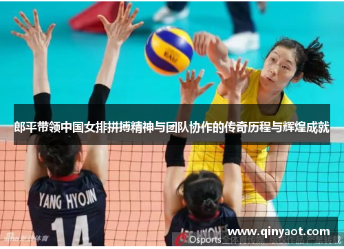 郎平带领中国女排拼搏精神与团队协作的传奇历程与辉煌成就