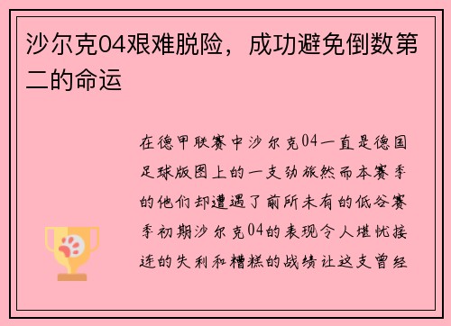 沙尔克04艰难脱险，成功避免倒数第二的命运